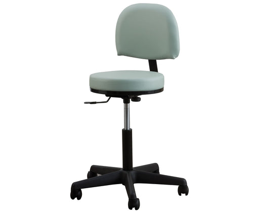 Oakworks Professional Stool with Backrest - Alternative Source Medical