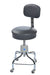 Pedigo Adjustable Round Seat Chrome Stool With Backrest & Casters - Alternative Source Medical