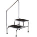 Clinton Chrome Two-Step Step Stool with Handrail - Alternative Source Medical